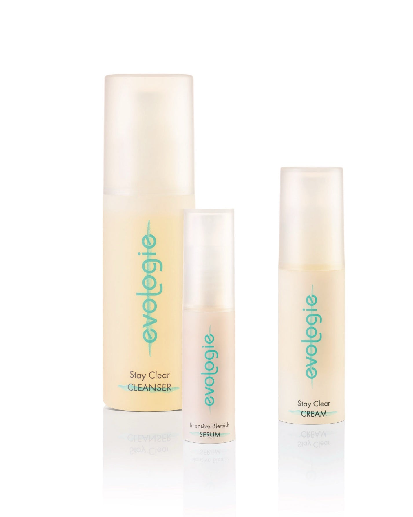 The Clear Bundle